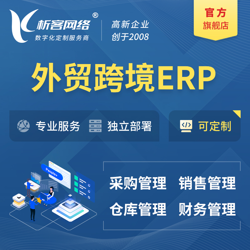 保亭黎族苗族外贸跨境ERP软件生产海外仓ERP管理系统